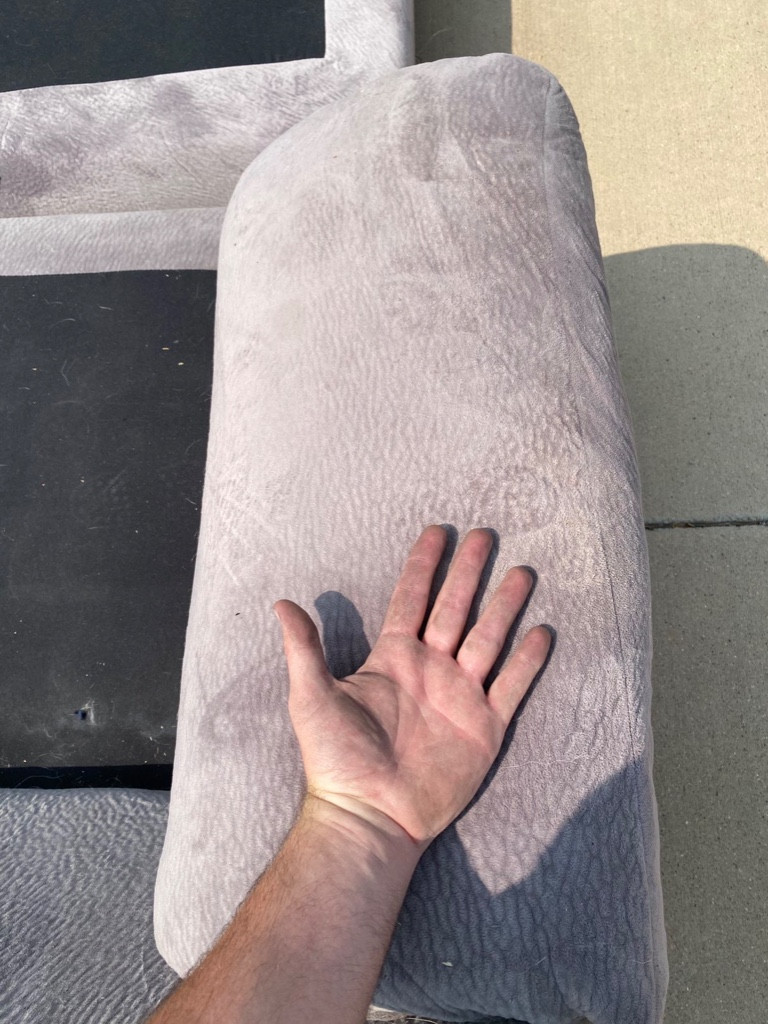 Photo by Mandi Cragoe of Zippy Shell Incorporated - Large