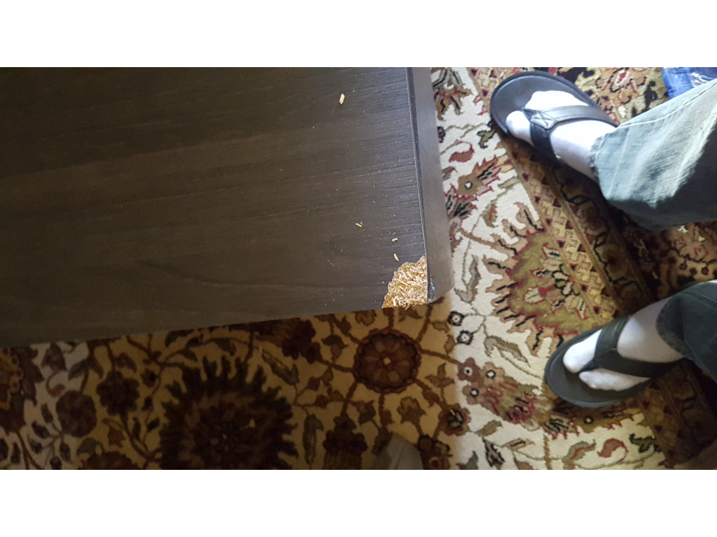 Second photo by Caresha Taylor of Trans Van Lines - Large