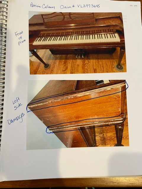 Photo by Patricia B Callaway of OGM Moving Services - Large