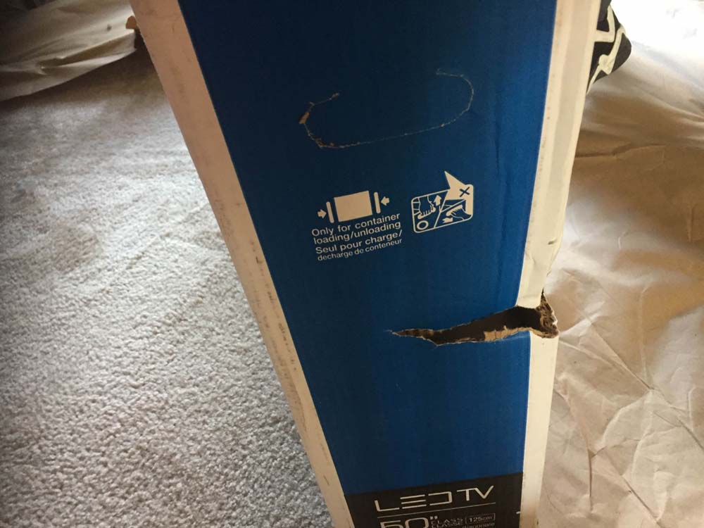 Second photo by Angela of Sega Transportation - Large