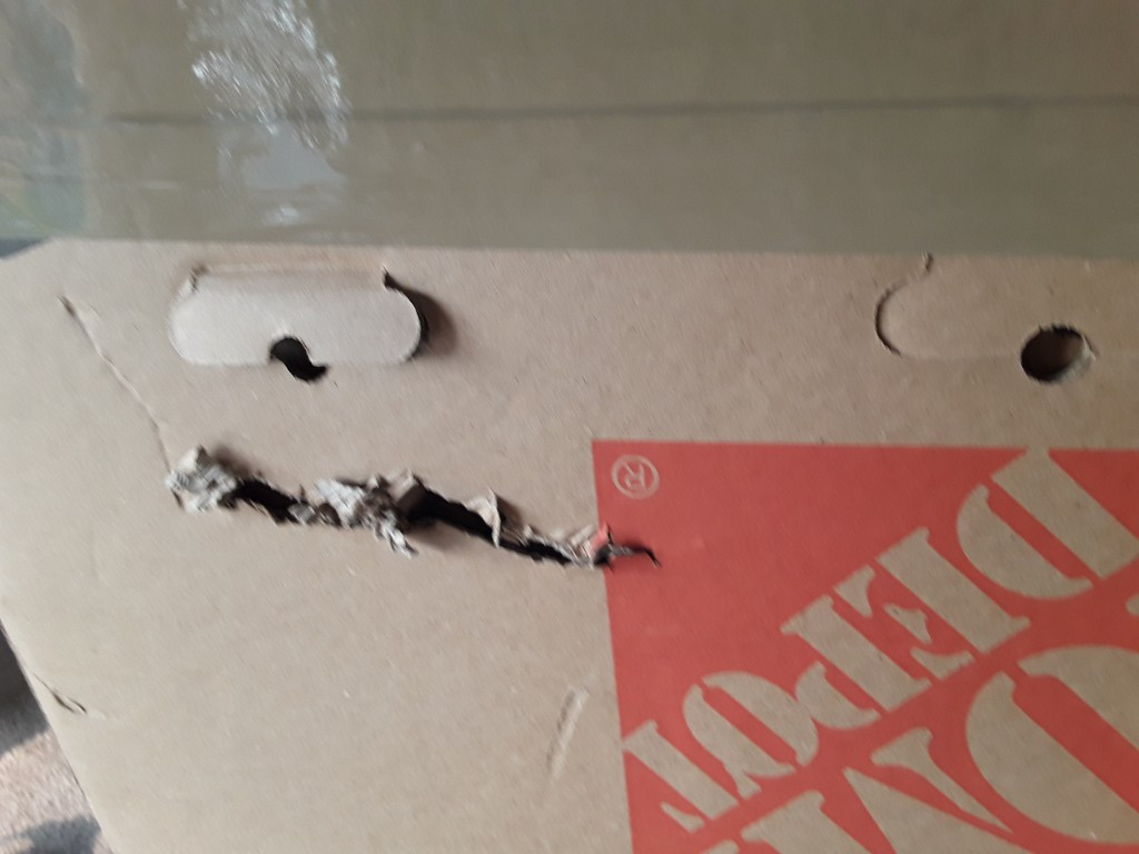 Photo by Melina H Simeonides of Moving Pro US - Large