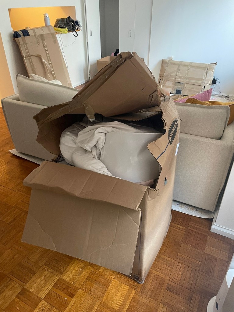 Photo by Nellie Davis of Safeway Moving Systems - Large