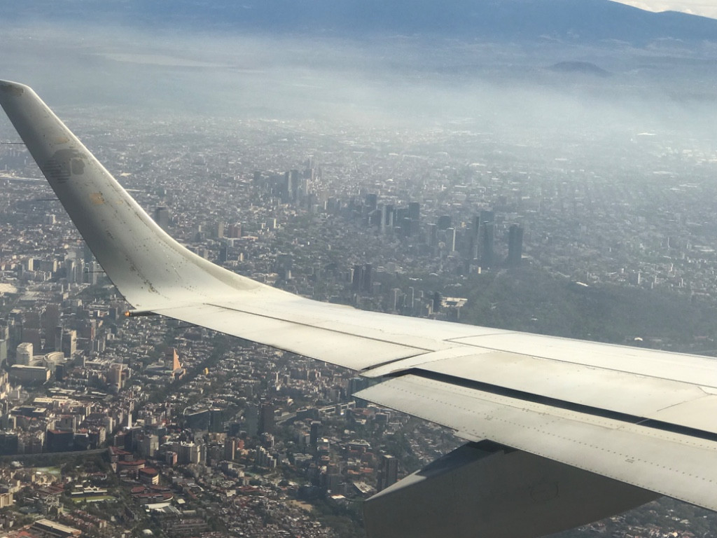 Second photo by Kim Washington of Stevens International LLC - Large