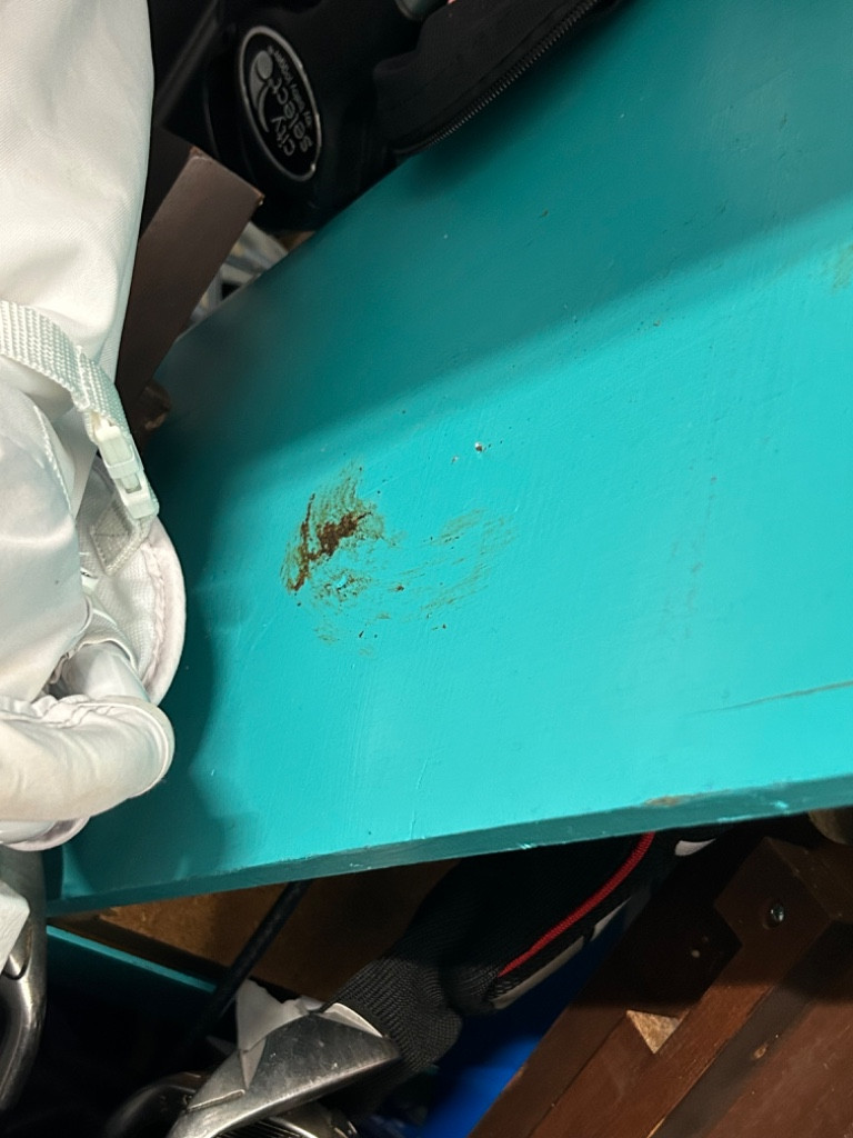 Photo by Erik Nguyen of Muscular Moving Men - Large