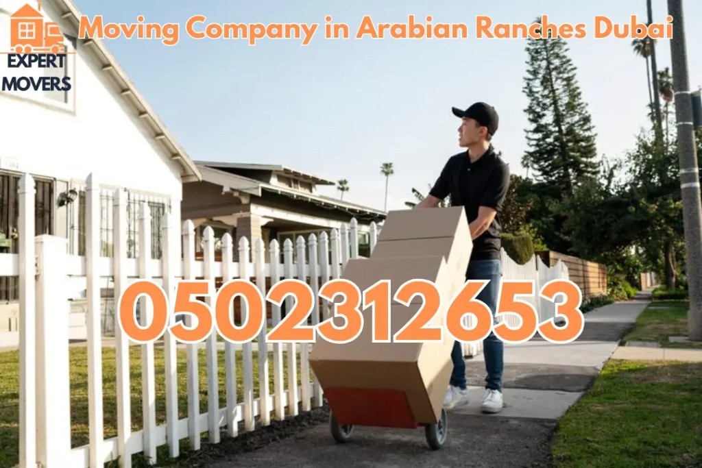 Photo by Abu Bakar of Expert Movers and Packers - Large