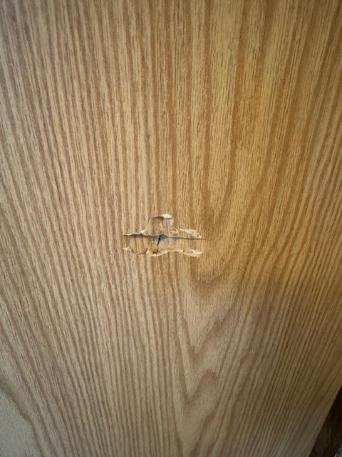 Photo by Katherine Neubaum of Front Door Moving & Storage  - Large