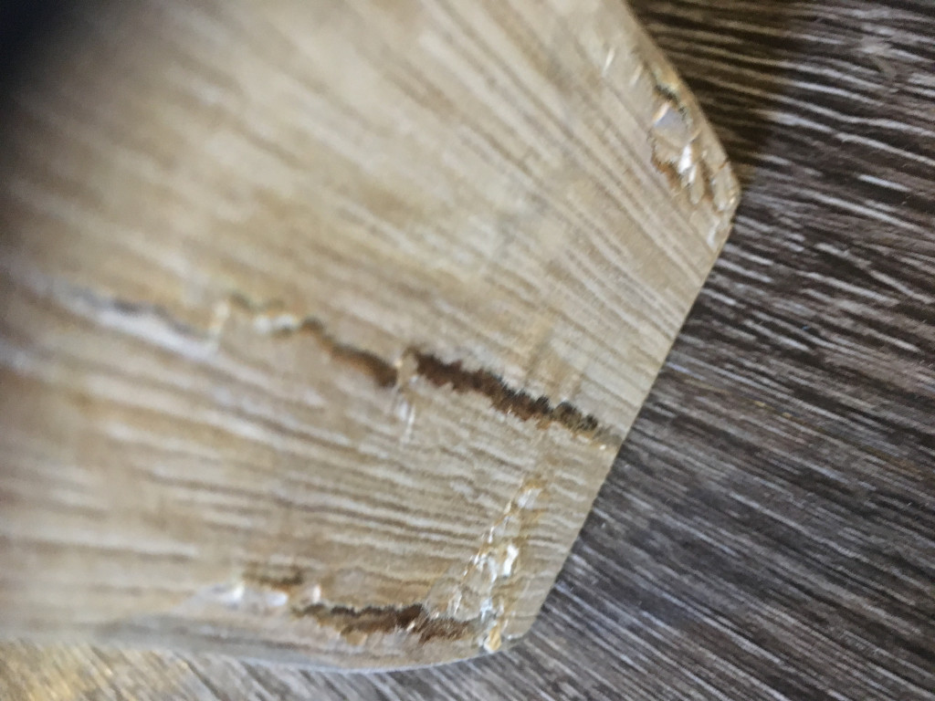 Photo by Lloyd Jayson of Ocean Moving & Storage - Large