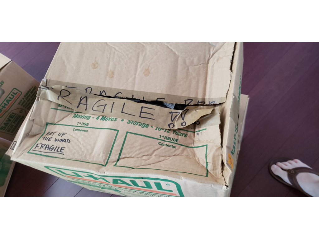 Photo by Alexander Divinsky of I&A Moving and Storage - Large