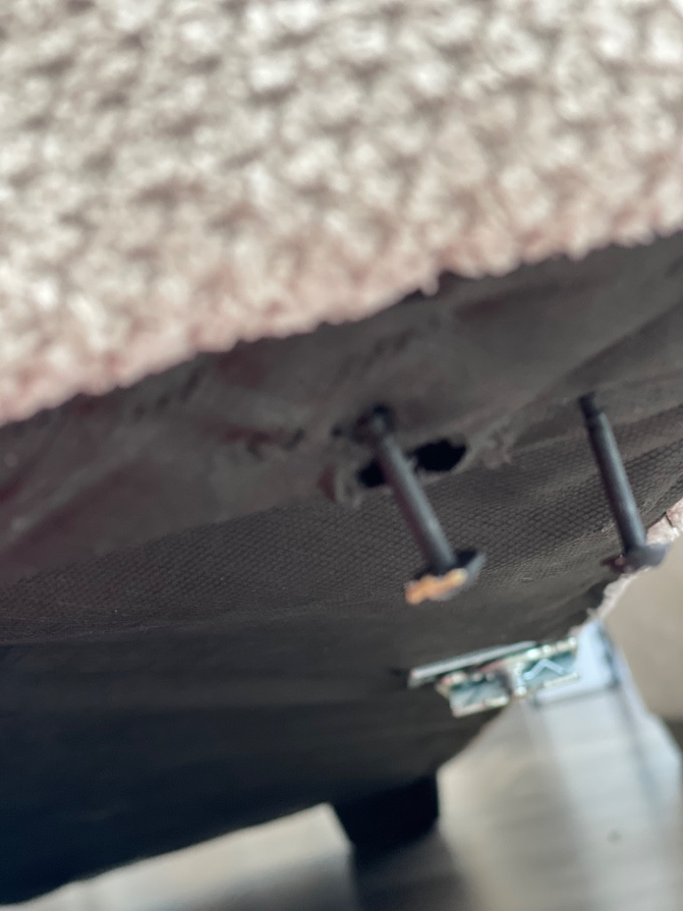 Photo by Chelsea Hi of Global Moving LLC - Large