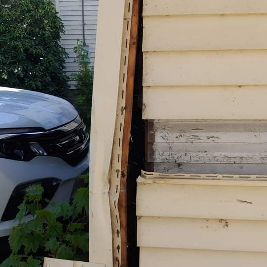 Photo by Paul A Weyman of A & M Friendly Movers - Large