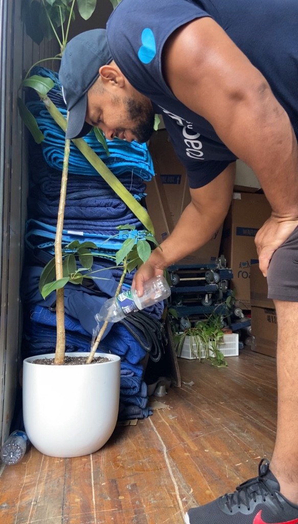 Second photo by Zora Vredeveld of Roadway Moving - Large