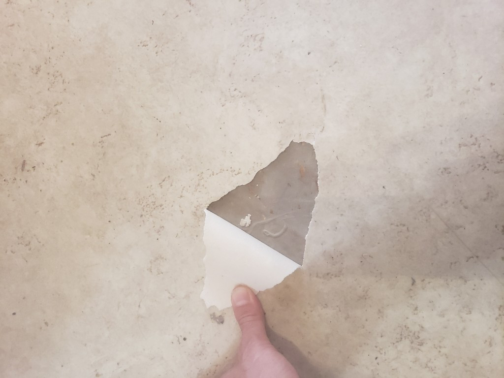 Photo by Mi Len of Move Me Again Transportation - Large