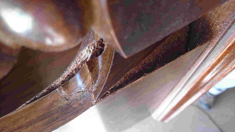 Photo by Tori M of Vega Line Moving and Storage Services Inc. - Large