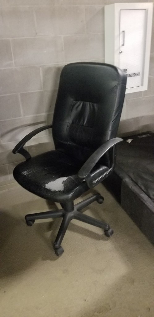 Photo by Danielle Haller of AAA Movers - Large