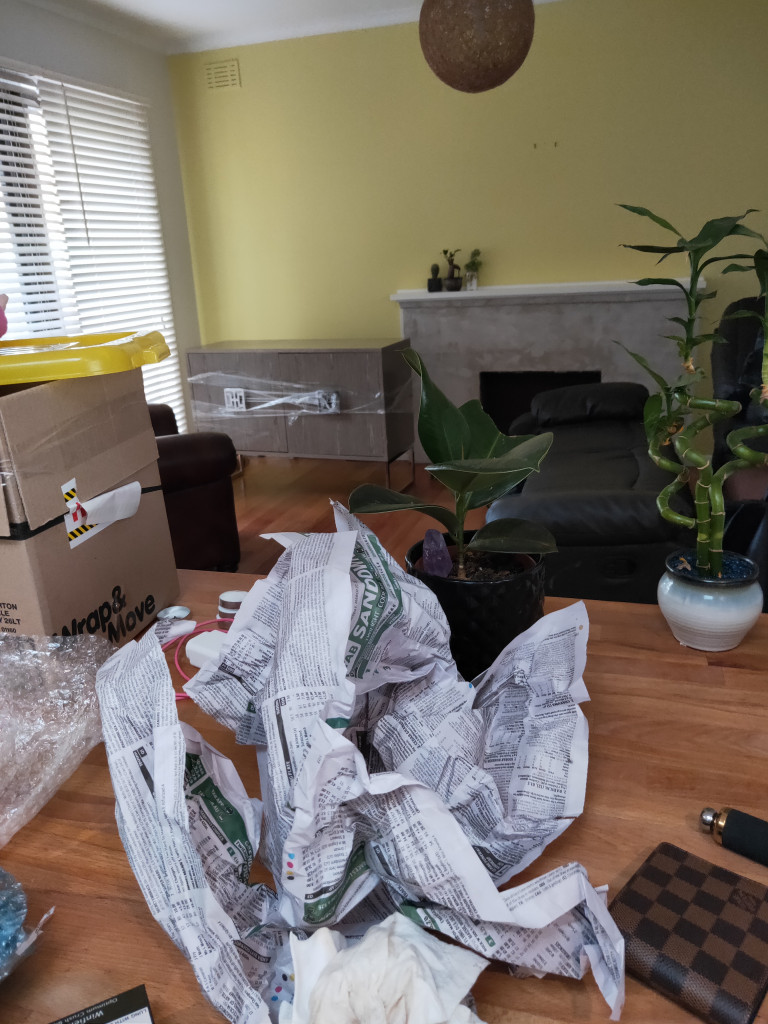 Photo by Laetisha Denning of MyMoovers - Large