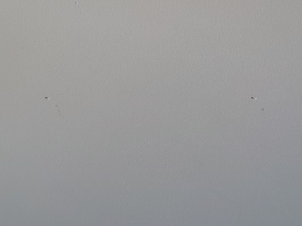 Photo by Michael Tranter of CBD Movers AU - Large