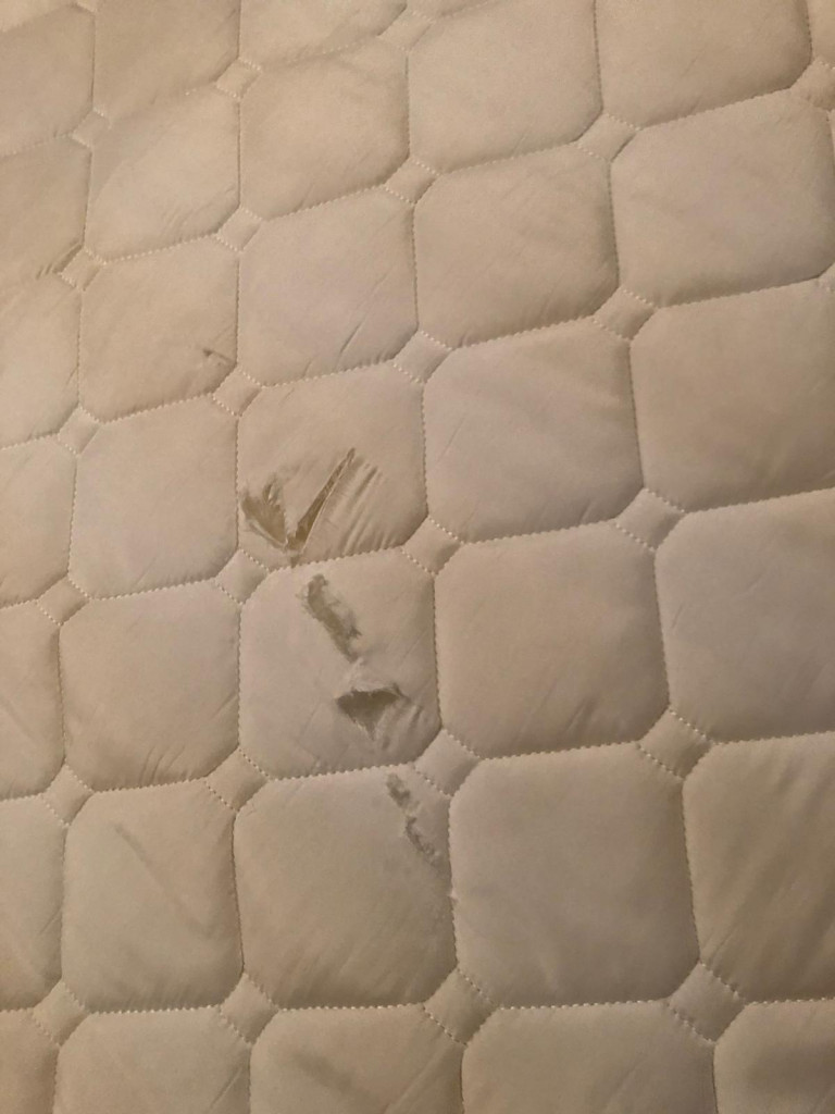 Photo by Teshini De Silva of MyMoovers - Large