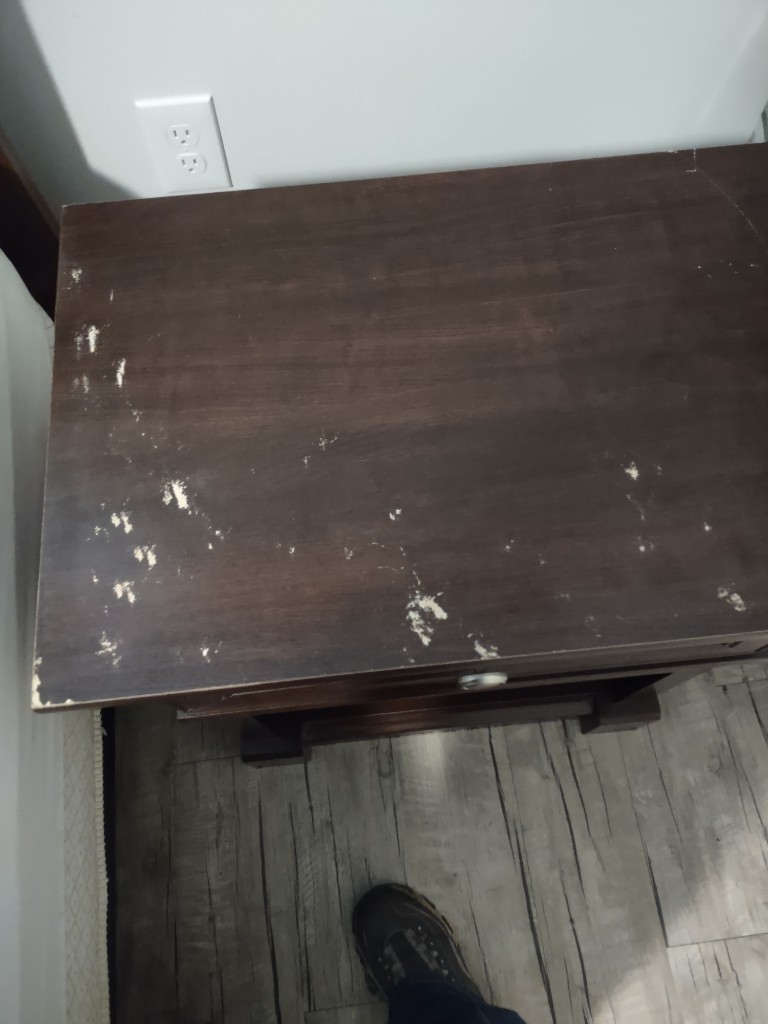 Second photo by Virginia Dan of Next Stop Relocation - Large