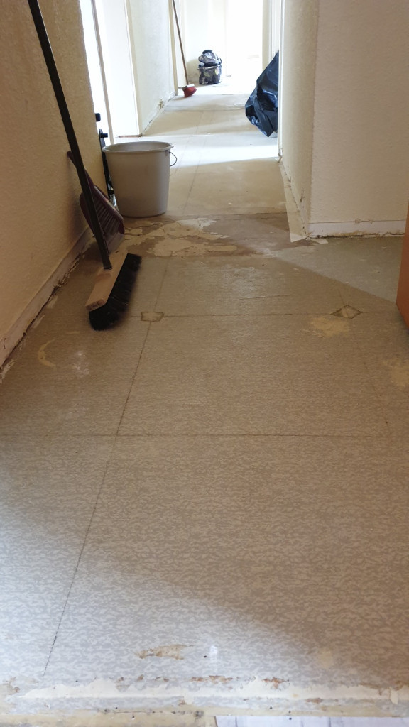 Photo by Herta Karl Trombasch of UMTL Umzüge - Large