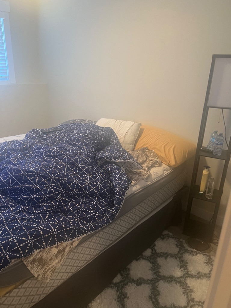 Second photo by Lori Sider of 2 Burley Men Moving - Large