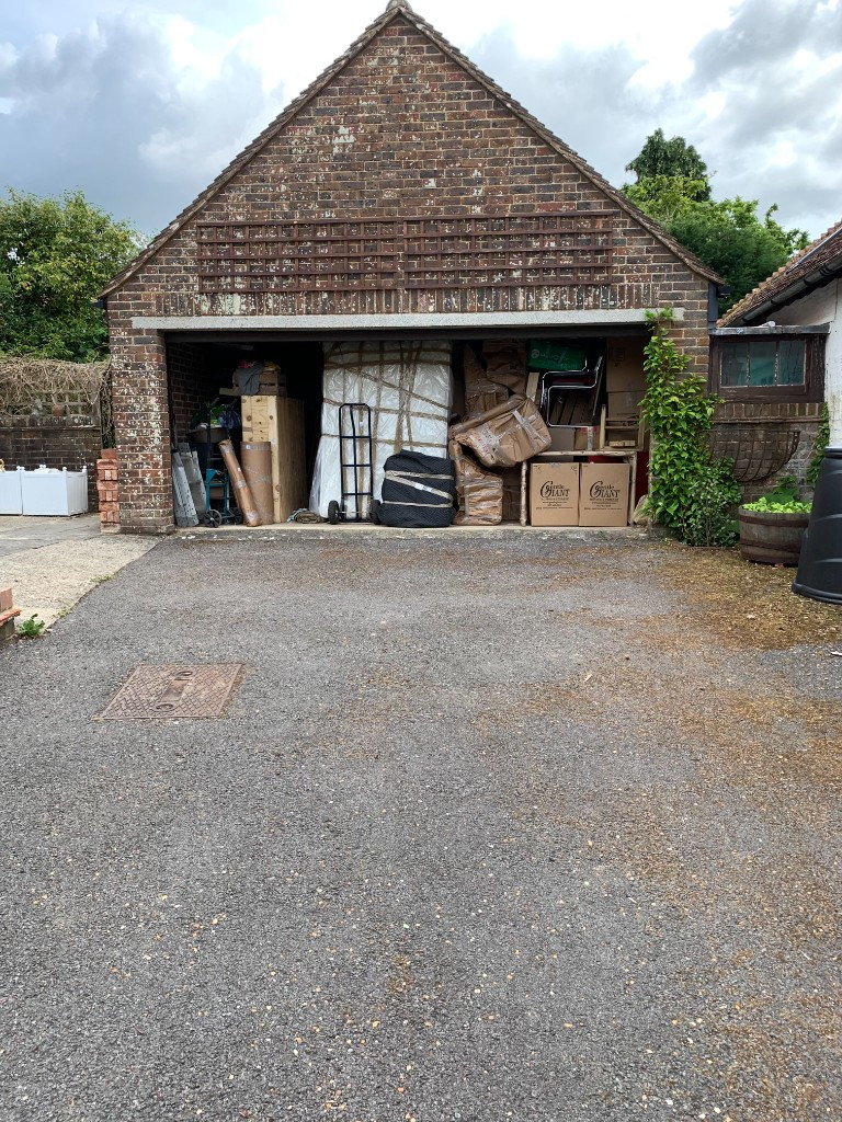 Second photo by Janet Browne of Gentle Giant - Large