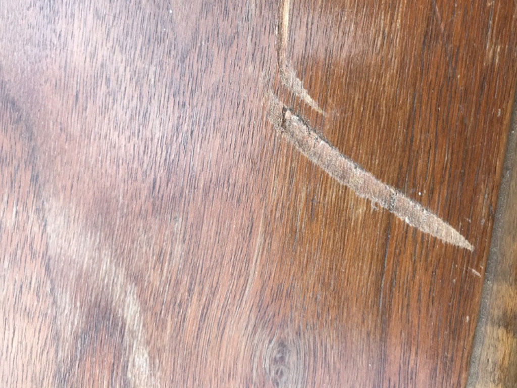 Photo by Tari Yates of Atlantic Van Lines - Large