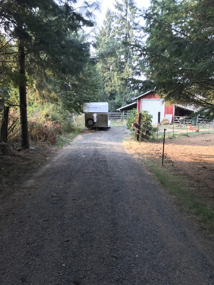 Second photo by Rebbekka of Empire Moving and Storage - Large