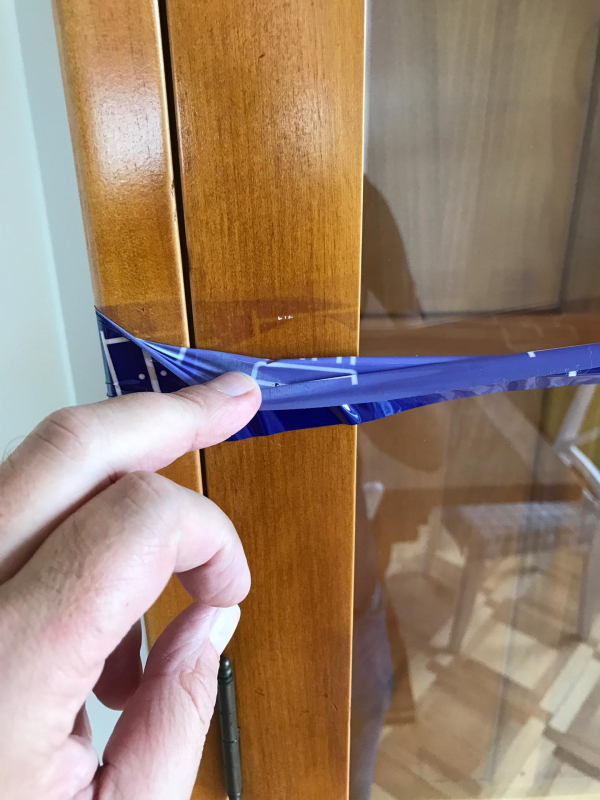 Second photo by Susie of Speed Umzug - Large