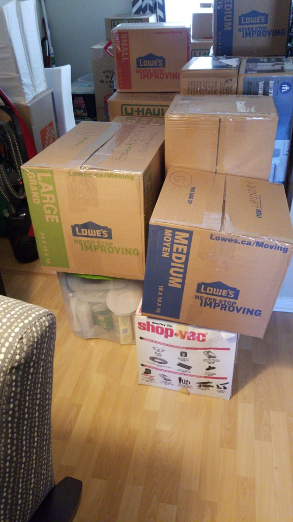 Second photo by Tayseer Tazzan of Cedar Strong Transportation Inc - Large