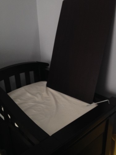 Second photo by Anabell Olivares of Excel Carriers - Large