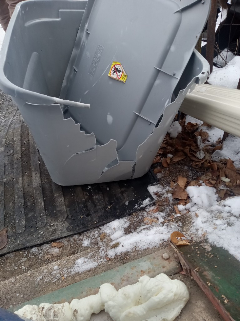 Second photo by Karen Claassen of Carefree Movers Inc - Large