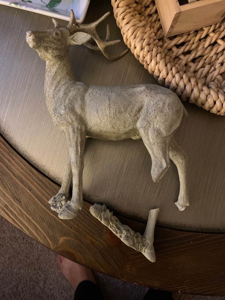 Second photo by Layla Scott of Moving Relocation Systems - Large