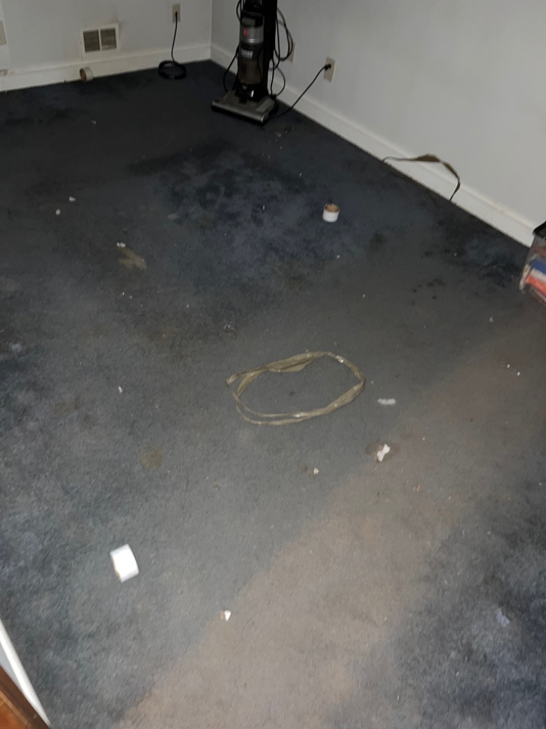 Photo by Elisha Heins of Capital City Moving LLC - Large