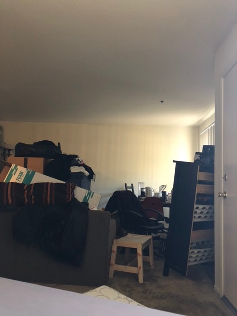 Photo by Moe Zee of My American Movers Inc. - Large