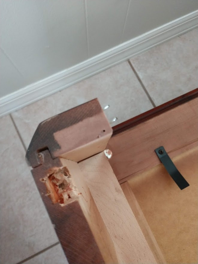 Photo by Linda Keller of Spartan Van Lines - Large