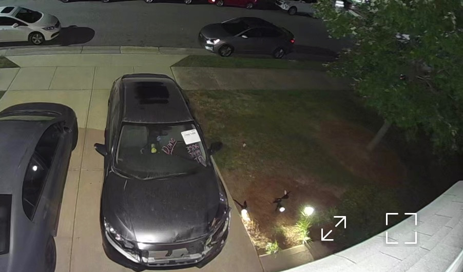 Second photo by Dionis Troconis of Royal Auto Ship LLC - Large