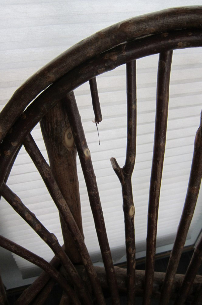 Second photo by Mary Murphy of Federal Companies - Large