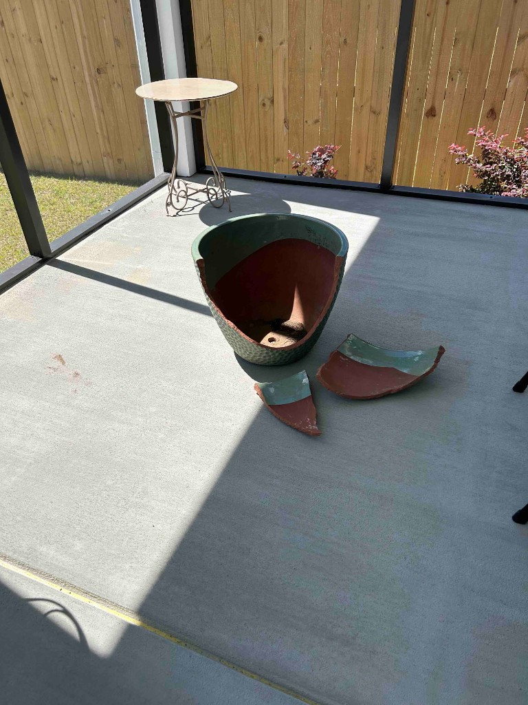 Second photo by Rebecca Overton of Tri-State Area Movers - Large