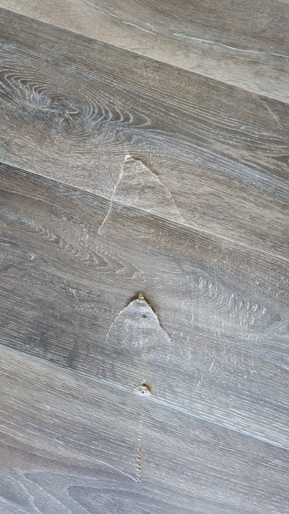 Second photo by Theresa Campbell of All My Sons Moving and Storage - Large