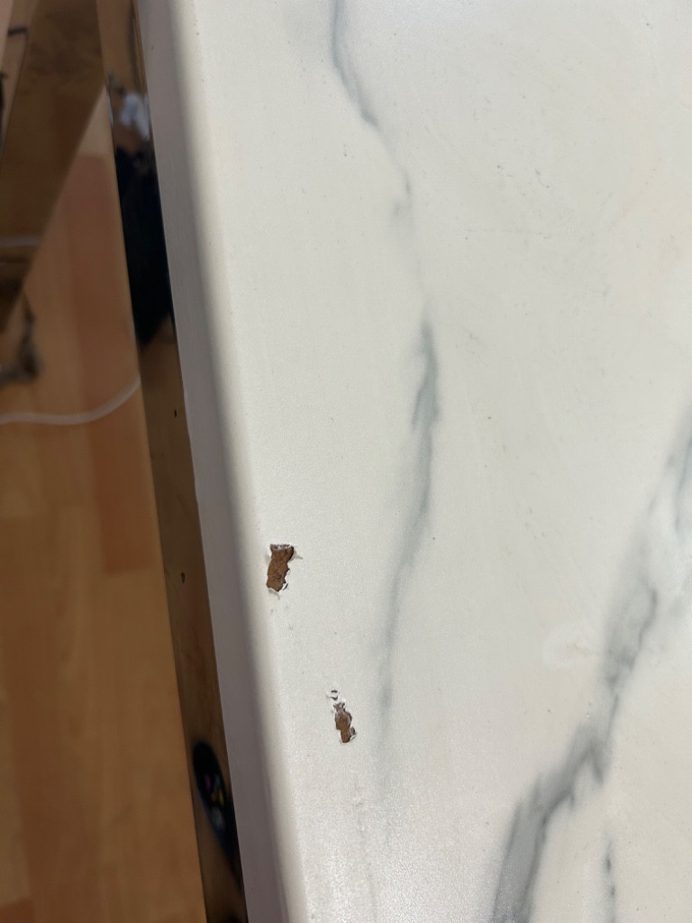 Photo by Classic Jasmine of Brooklyn Moving  - Large