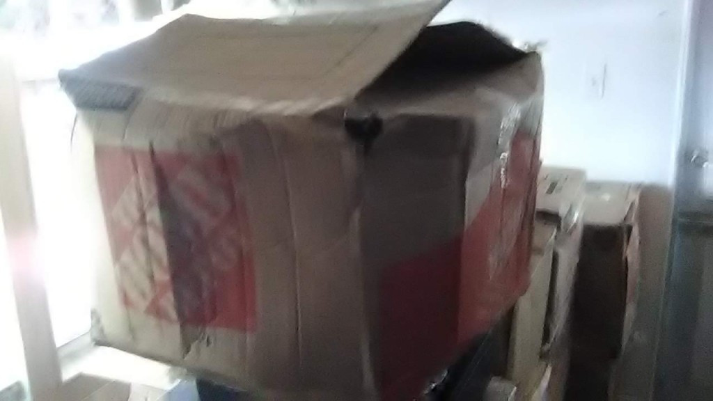 Second photo by Steve Mclaughlin of AAA Moving Group - Large