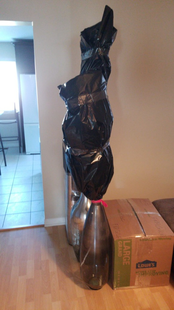 Photo by Tayseer Tazzan of Cedar Strong Transportation Inc - Large