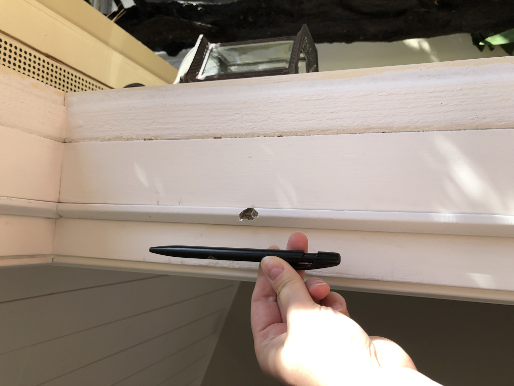 Photo by Cyrille Joinville Bonin of Relocately - Large