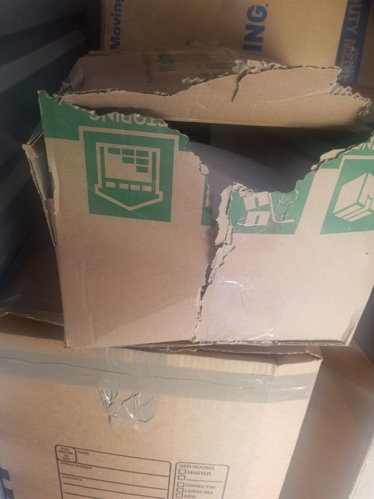 Photo by Gina Laura Brogna of USA Logistics Moving - Large