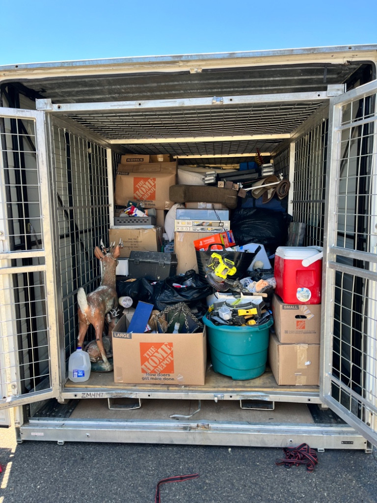 Photo by Greg Momat of Zippy Shell Incorporated - Large