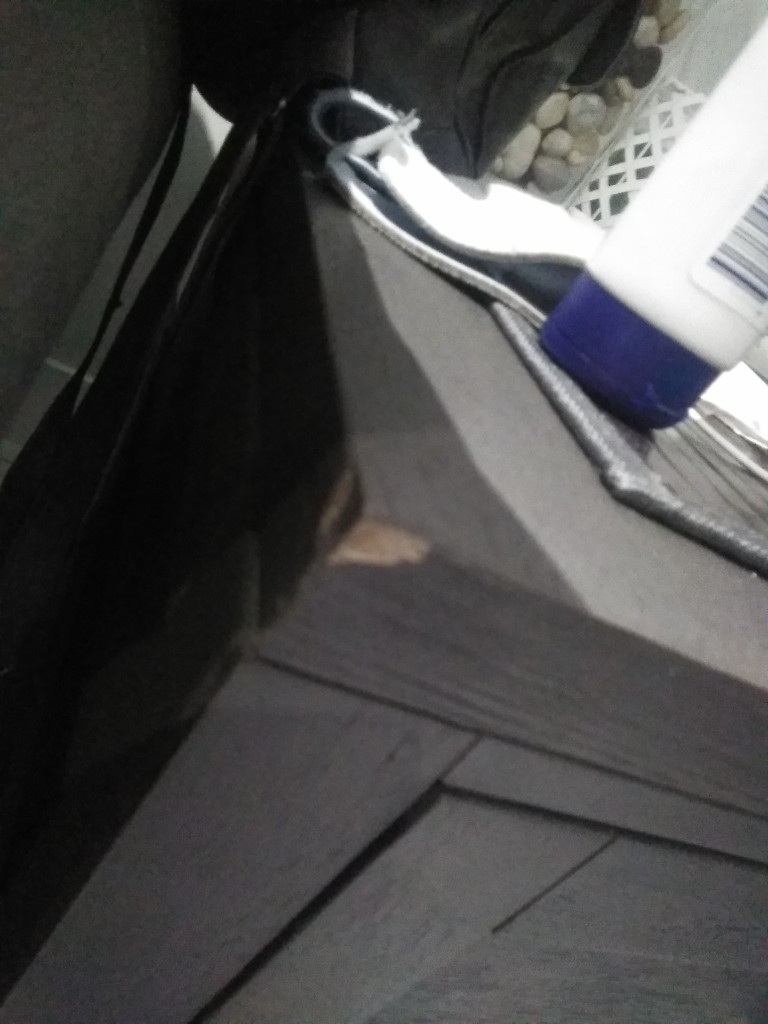 Second photo by Dana Eklund of Family Movers Canada - Large