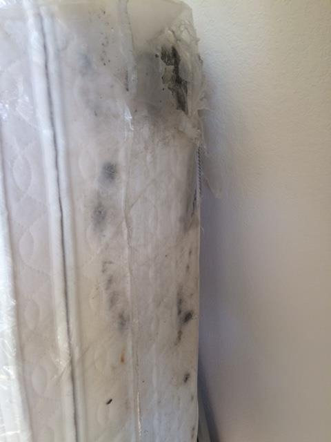 Photo by Jane Smith of Atlantic Van Lines - Large