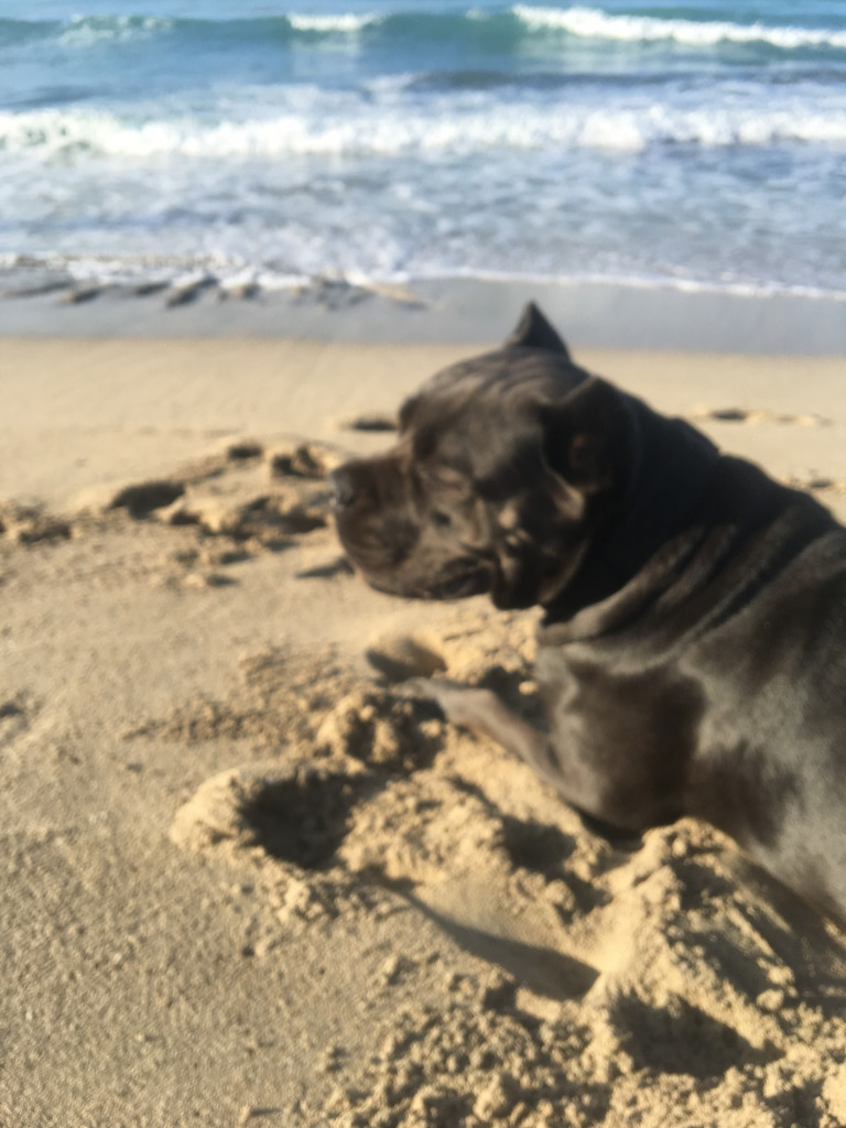 Photo by Arnon Chanlevitz of 800moving - Large