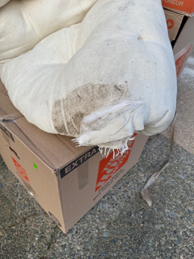 Photo by Amanda Ianniello of Pegasus Vanlines  - Large