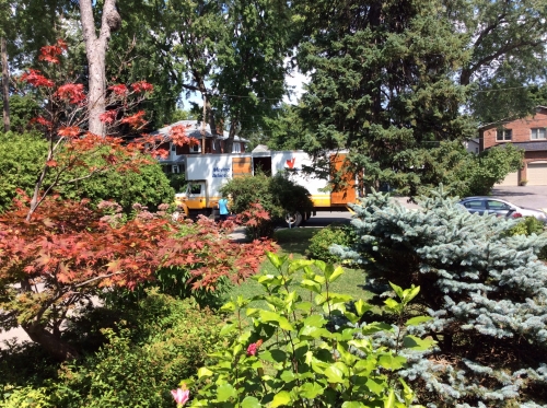 Photo by Barbara Charbonneau of Smart Moving and Storage - Large